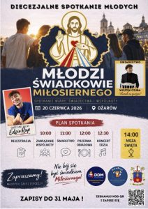 DSM_plakat